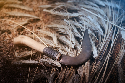 Rekonstrukce bronzového srpu